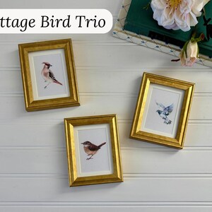 May include: Three framed bird art prints with gold frames are displayed against a white background. The prints feature watercolor illustrations of birds in shades of brown, red, and blue. The text "Cottage Bird Trio" is at the top.