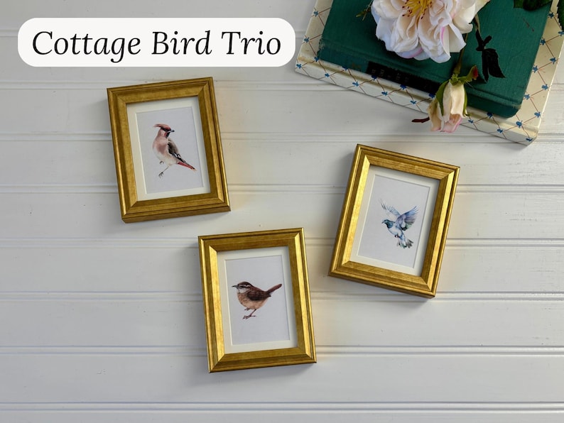 May include: Three framed bird art prints with gold frames are displayed against a white background. The prints feature watercolor illustrations of birds in shades of brown, red, and blue. The text "Cottage Bird Trio" is at the top.
