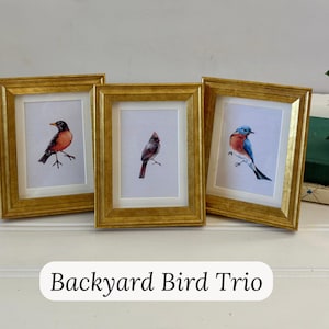 May include: Three framed watercolor prints of birds. Each gold-framed print features a different bird: a robin, a cardinal, and a bluebird. The prints are displayed on a white surface with a blurred background.