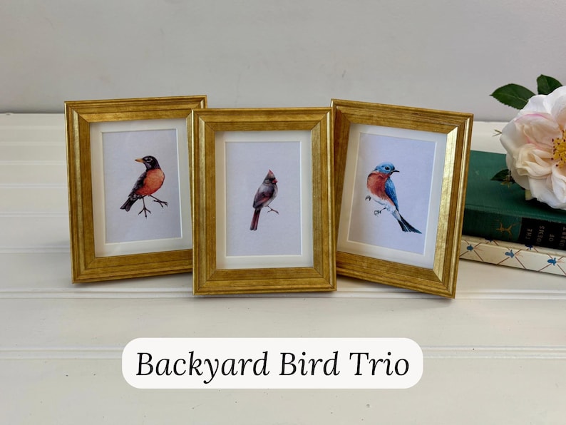 May include: Three framed watercolor prints of birds. Each gold-framed print features a different bird: a robin, a cardinal, and a bluebird. The prints are displayed on a white surface with a blurred background.