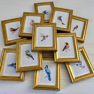 May include: A collection of framed bird art prints. Each print features a different bird illustration in watercolor, set against a white background. The frames are gold-colored, and the prints are arranged in a casual, overlapping manner.