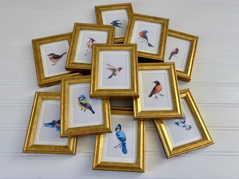May include: A collection of framed bird art prints. Each print features a different bird illustration in watercolor, set against a white background. The frames are gold-colored, and the prints are arranged in a casual, overlapping manner.