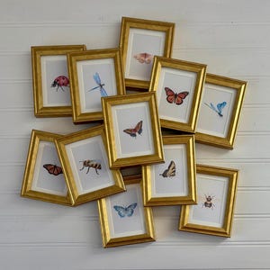 Może przedstawiać: Kolekcja oprawionych grafik z owadami. Każda złota oprawiona grafika przedstawia innego owada, w tym biedronkę, motyla, ważkę i pszczołę, na białym tle. Ramki są ułożone na białej ścianie z drewnianymi panelami.