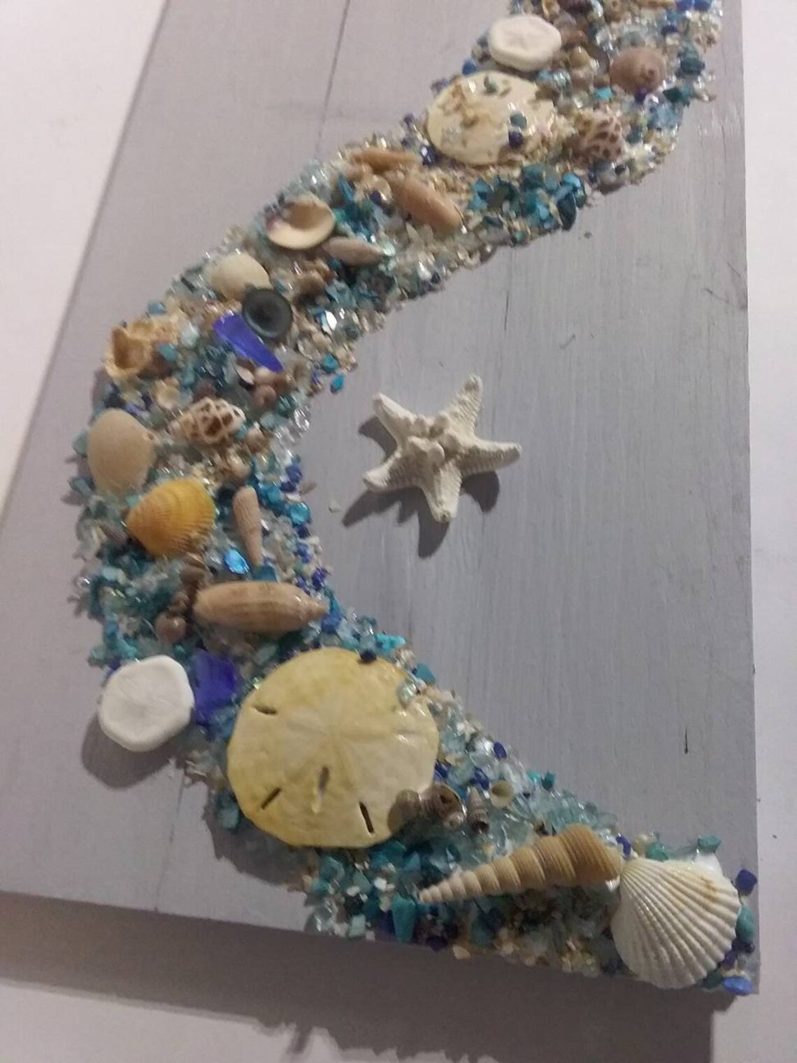BEACH SHELL Wall Art Sea Shell Summer Decor Mounted on Etsy