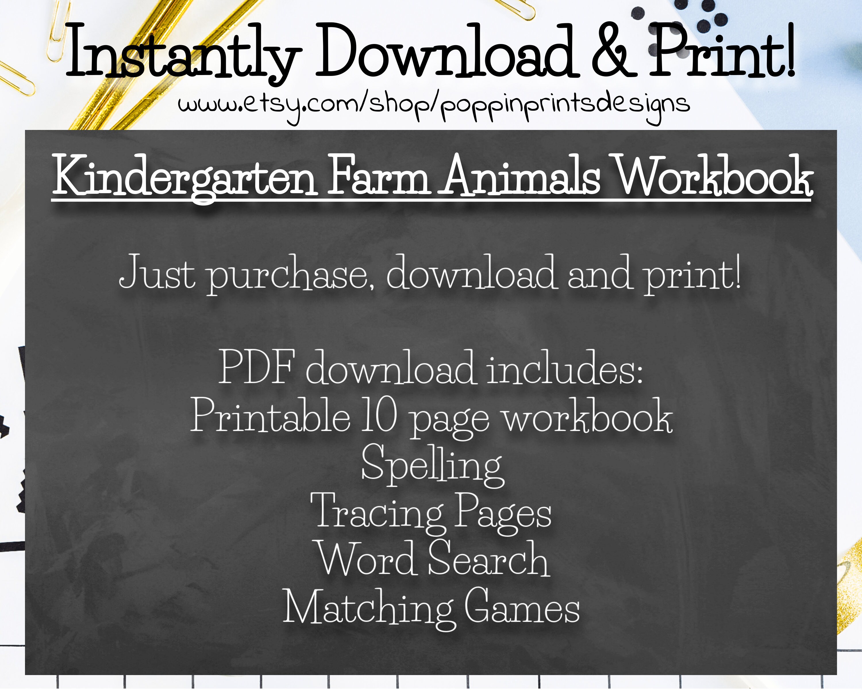 Animal Worksheets Kindergarten Printables Homeschool | Etsy