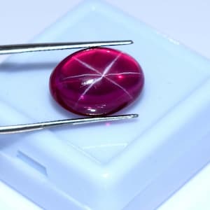 May include: A deep red star ruby gemstone with a cabochon cut. The ruby is held by tweezers and is in a small blue box.