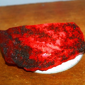 750.10 Ct EGL Certified Natural Red Ruby Rough Loose Opaque Gemstone 6LNP