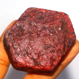 May include: A rough, uncut ruby gemstone with a deep red color and a textured surface. The ruby has dark red and black inclusions, and is held in a hand against a white background. This natural gemstone is a raw mineral specimen.