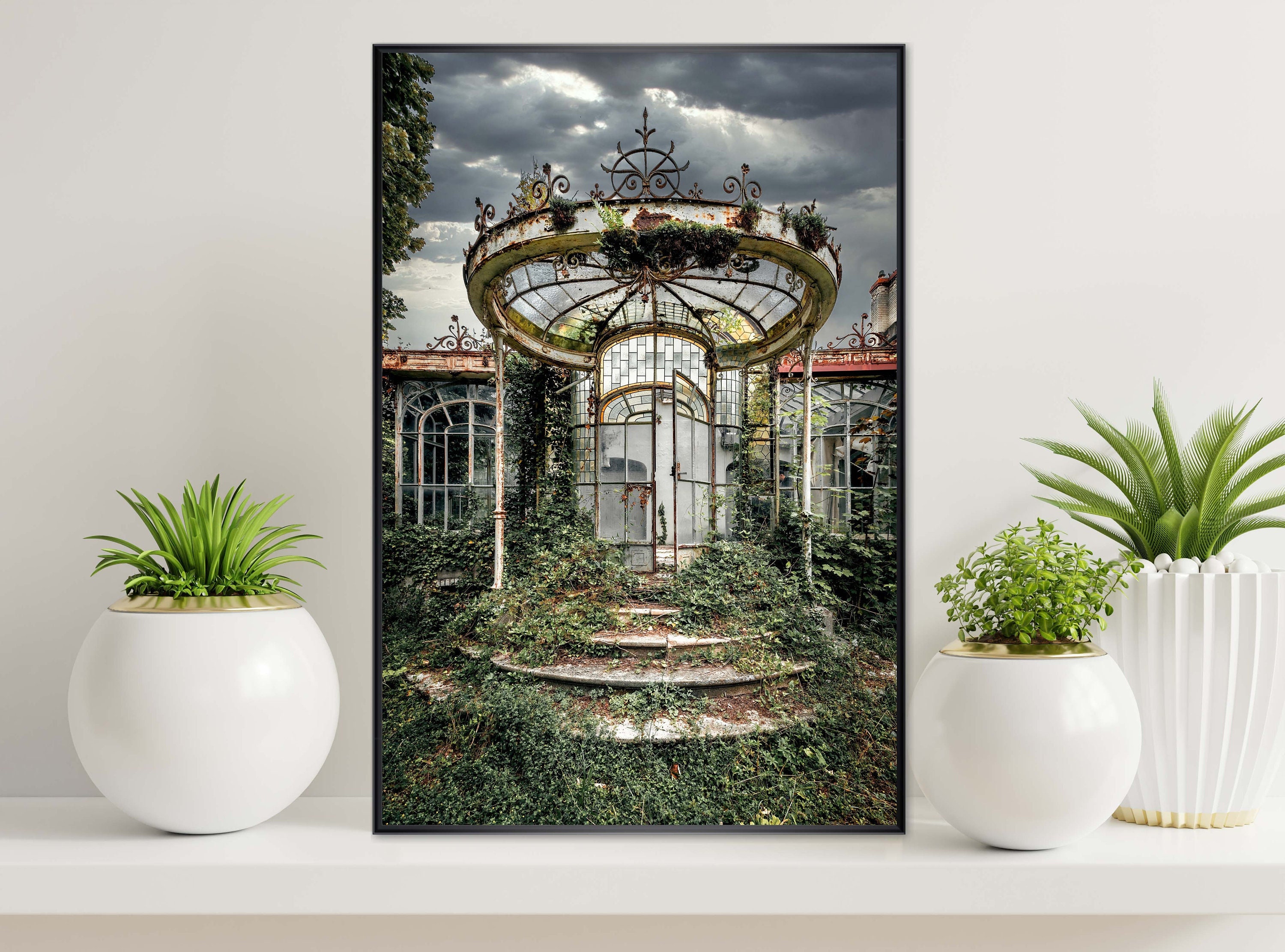 Photographie Urbex Green World Verdure Dans Une Verrière Abandonnée