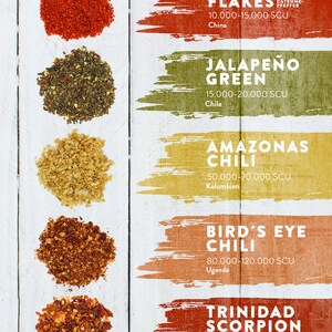 Coffret Chili & Épices du Monde, 10 spécialités du monde entier, coffret cadeau parfait pour les chefs amateurs et les mangeurs épicés image 5