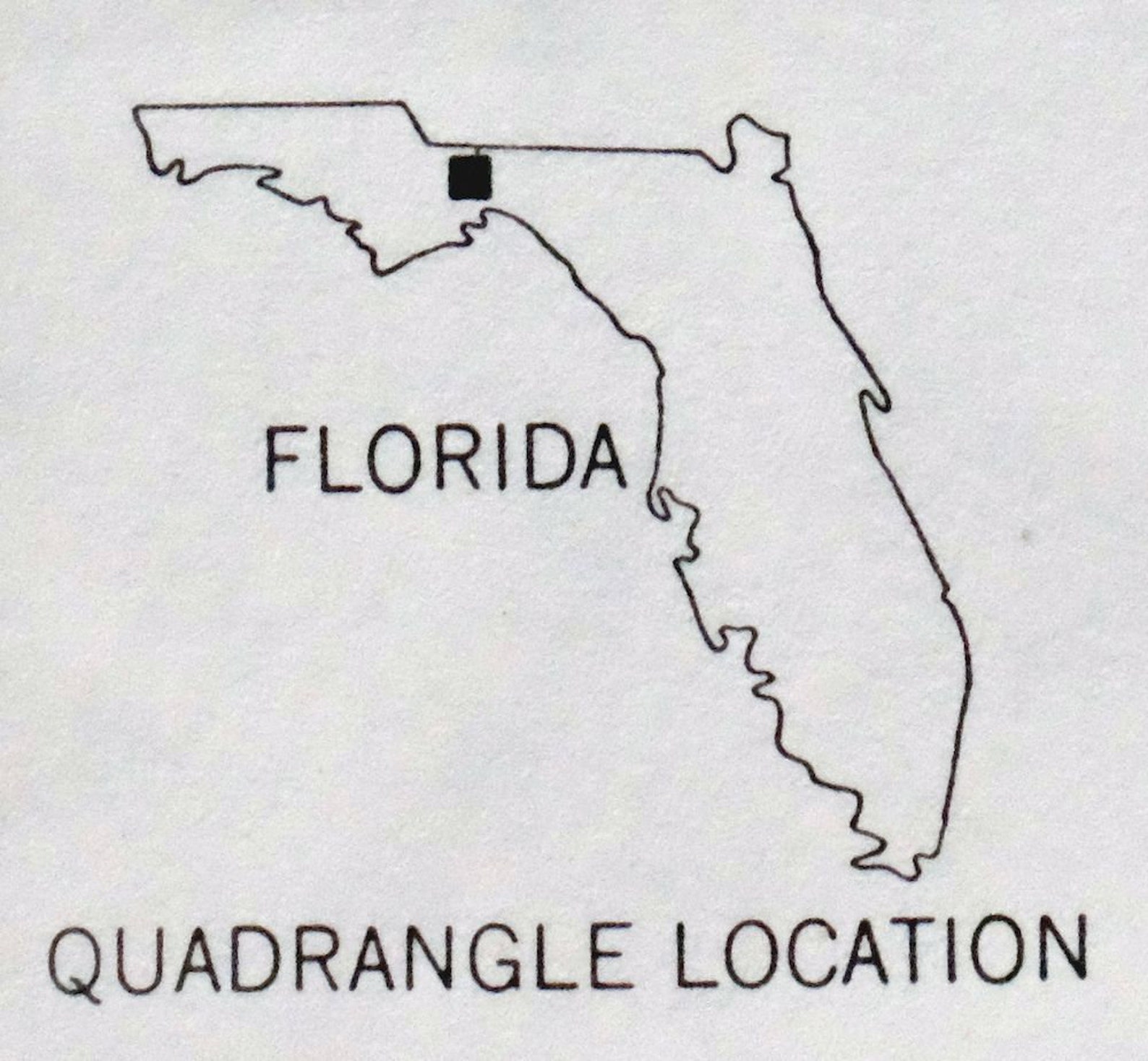 Tallahassee Apalachicola NF Florida Original USGS Topo Map Etsy