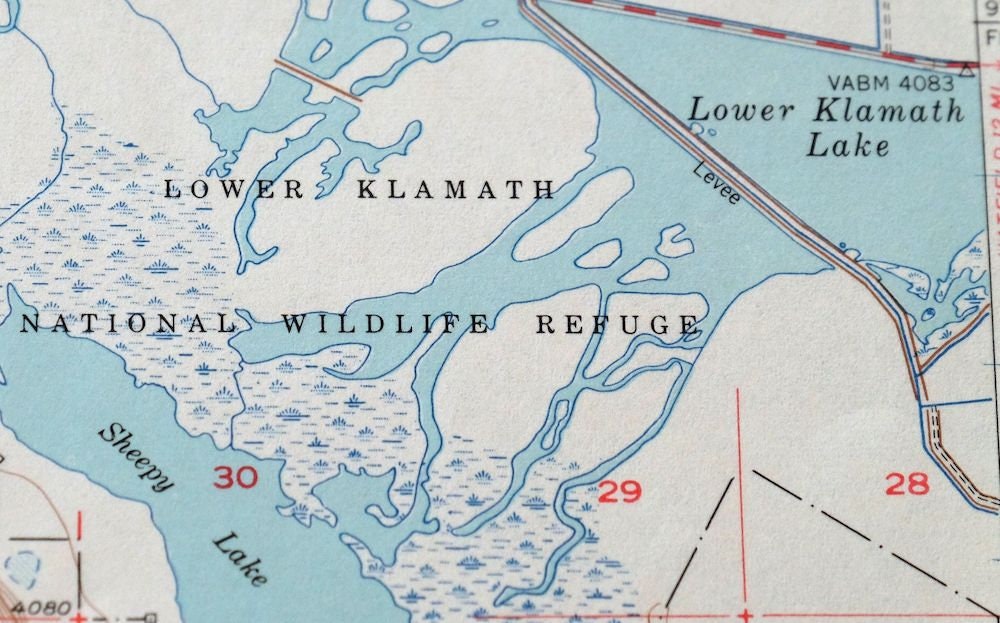Dorris California Vintage Original USGS Topo Map 1950 Mount Etsy