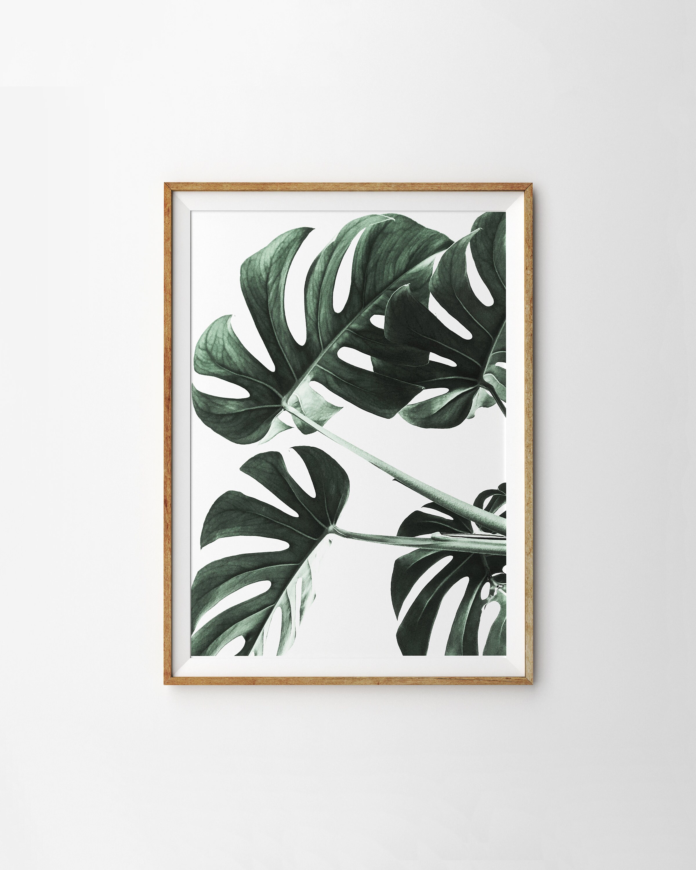 Monstera Print Monstera Wall Art Monstera Leaves Botanical Etsy