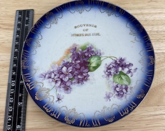 Dittmer's Drug Store Souvenir Plate Blue Grape Sterling China Advertising