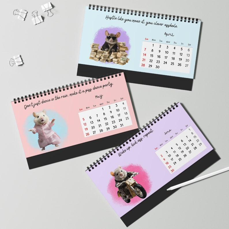 Funny Calendar 2024 U.s., 2024 Desk Calendar, Swear Calendar, Swear