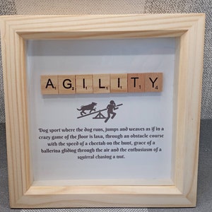Dog agility frame gift for her, agility dog owner wall decoration, home decor