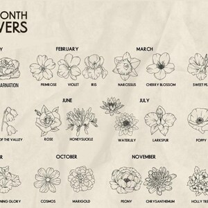 May include: A floral illustration displaying birth month flowers, including Snowdrop, Iris, and Chrysanthemum. Each flower is labelled with its name, presented in a monochrome style, suitable for a botanical theme.
