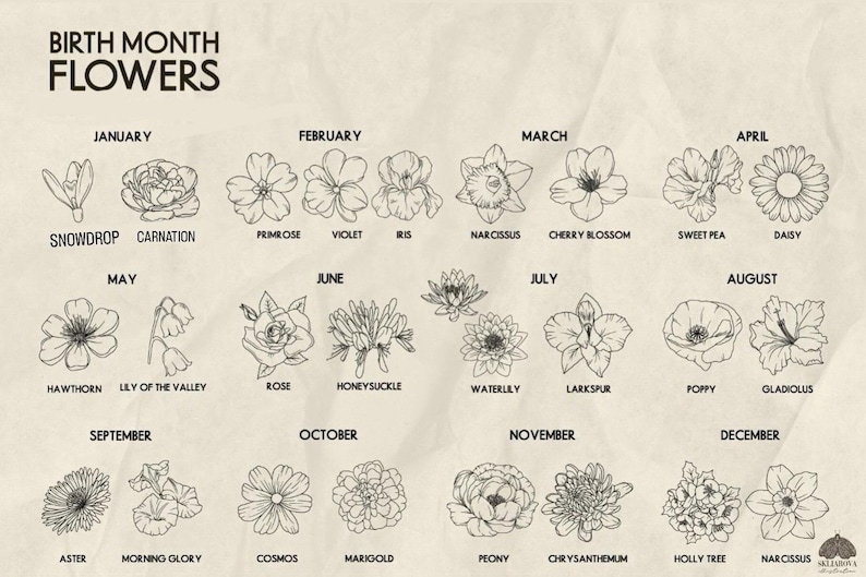 May include: A floral illustration displaying birth month flowers, including Snowdrop, Iris, and Chrysanthemum. Each flower is labelled with its name, presented in a monochrome style, suitable for a botanical theme.