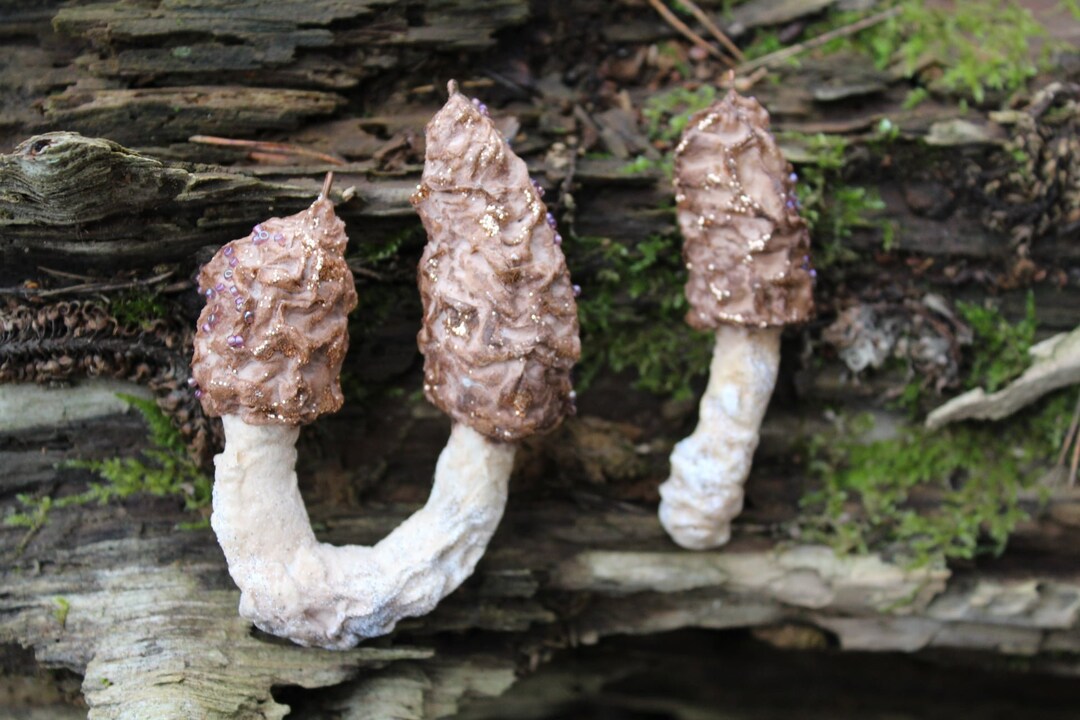 Handmade Morel Mushroom Ornament, Hanging Morchella Vulgaris, Fungus Decoration Etsy Denmark