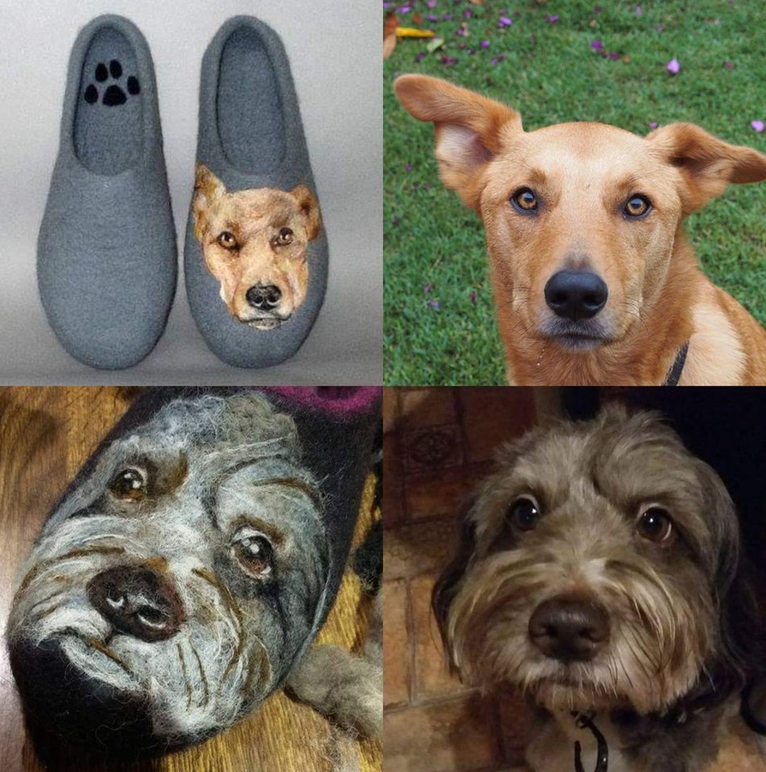 custom made dog slippers