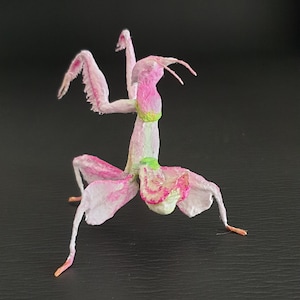 Orchid Flower Mantis, Textile Insect Sculpture,Custom fogurine, Ornament for home decor, terrarium idea