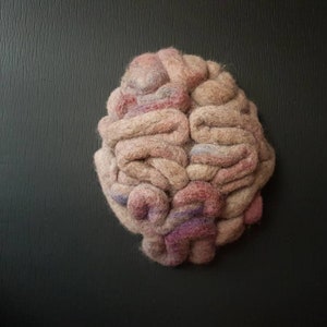 Anatomy ticker gift, Human Brain Repliica Felt Ornament, Anatomy Art Model Textile Sculpture, Psychologist Medicine Student,  Doctor