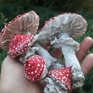 Mushroom Ornaments, Fungus Specimen Toadstool Decoration, Christmas Tree Faeries Bauble