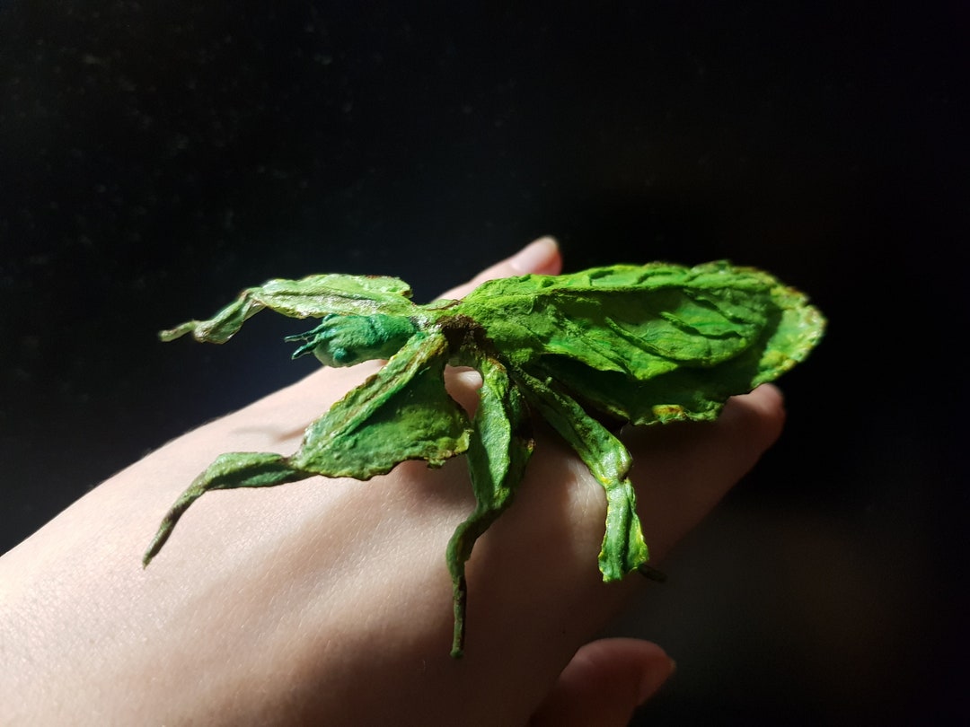 Green Phillium Leaf Insect Ornament, Terrarium Bug Decoratation ...