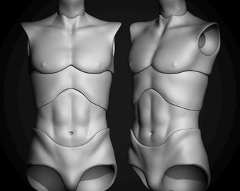 May include: Two gray, 3D-rendered male torso forms. The forms are segmented, showing the chest, abdomen, and lower torso. The forms are smooth and feature anatomical details, including defined abdominal muscles. The background is dark.