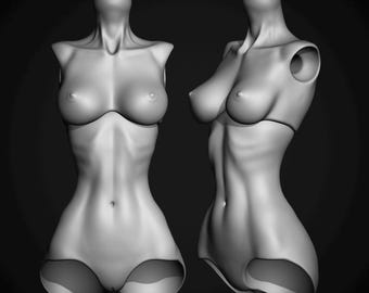 May include: A grayscale 3D rendering of a female torso mannequin, showcasing anatomical details. The mannequin is headless, with a defined bust, waist, and hips. The form is smooth, with subtle shadows that emphasize the curves and contours of the body. The background is a solid black.