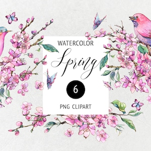 Cherry Blossom Watercolor Clipart: Spring Bird Graphics (PNG)