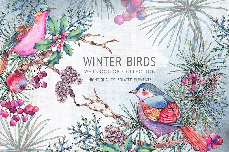 Fall Clipart. Winter Watercolor Bird Clipart Watercolor Woodland Clipart