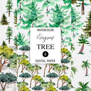 Papier numérique sapin, arbre à feuilles persistantes, paquet de papier numérique paysage forestier, papier numérique aquarelle arbre