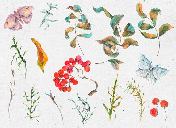 Watercolor autumn wreath clipart. Moth clip art fall clipart Woodland clipart Watercolor autumn wreath clipart. Moth clip art fall clipart Woodland clipart
