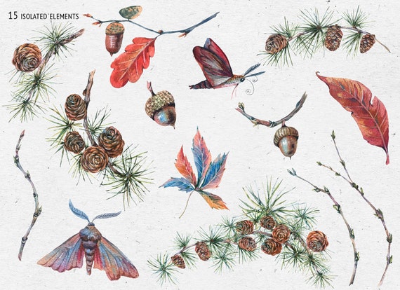 Watercolor autumn wreath clipart. Moth clip art fall clipart Woodland clipart Watercolor autumn wreath clipart. Moth clip art fall clipart Woodland clipart