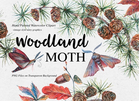Watercolor autumn wreath clipart. Moth clip art fall clipart Woodland clipart Watercolor autumn wreath clipart. Moth clip art fall clipart Woodland clipart