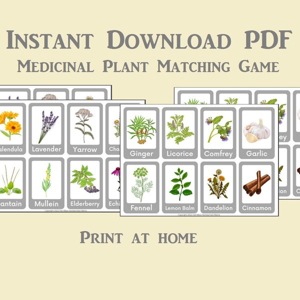 Medicinal Plants Matching Game, Memory Flash Cards, Instant Download PDF, Homeschool supplies, healing herbs, Home learning tools