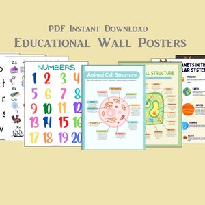 May include: A set of colorful educational wall posters for kids. The posters include the alphabet, numbers, animal cell structure, plant cell structure, and planets in the solar system.