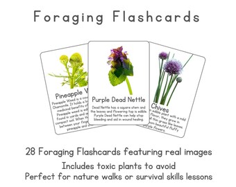 Op de afbeelding: Wildplukken flashcards met echte afbeeldingen van planten, waaronder kamille, paarse dovenetel en bieslook. De kaarten bevatten informatie over elke plant en zijn ontworpen voor natuurwandelingen en overlevingsvaardigheden.