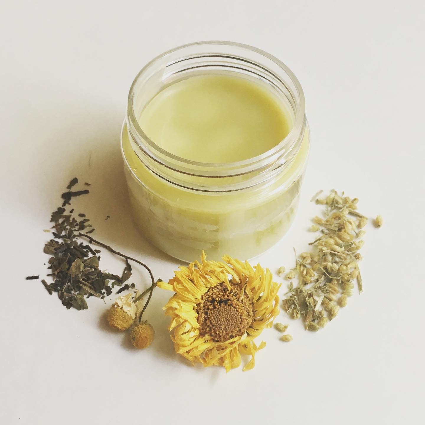 Herbal Firstaid cream wound care healing Salve Skin Etsy
