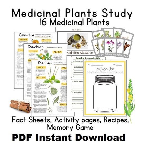 Medicinal Plants Mini Unit, Herbal Studies Digital download PDF, homeschool lessons, plant studies