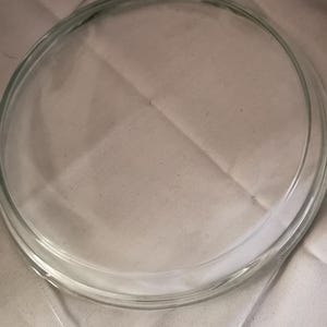 Pode incluir: Uma assadeira redonda de vidro transparente, com uma borda ligeiramente elevada e duas pequenas alças. A assadeira está vazia e está sobre uma superfície branca. A assadeira tem cerca de 23 cm de diâmetro.