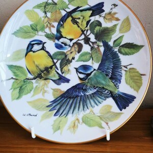 Vintage Tirchenreut decorative porcelain plate, hand painted, collectable, 20th century, 1985,birds pattern