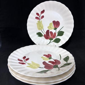 May include: White ceramic plates with a ruffled edge, decorated with a floral design in red, yellow, and green. The plates are stacked, with one plate on top, showcasing the design. The plates are likely for serving food.