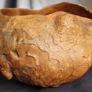 Exceptional Burl Wood Bowl of Natural Organic Rustic form