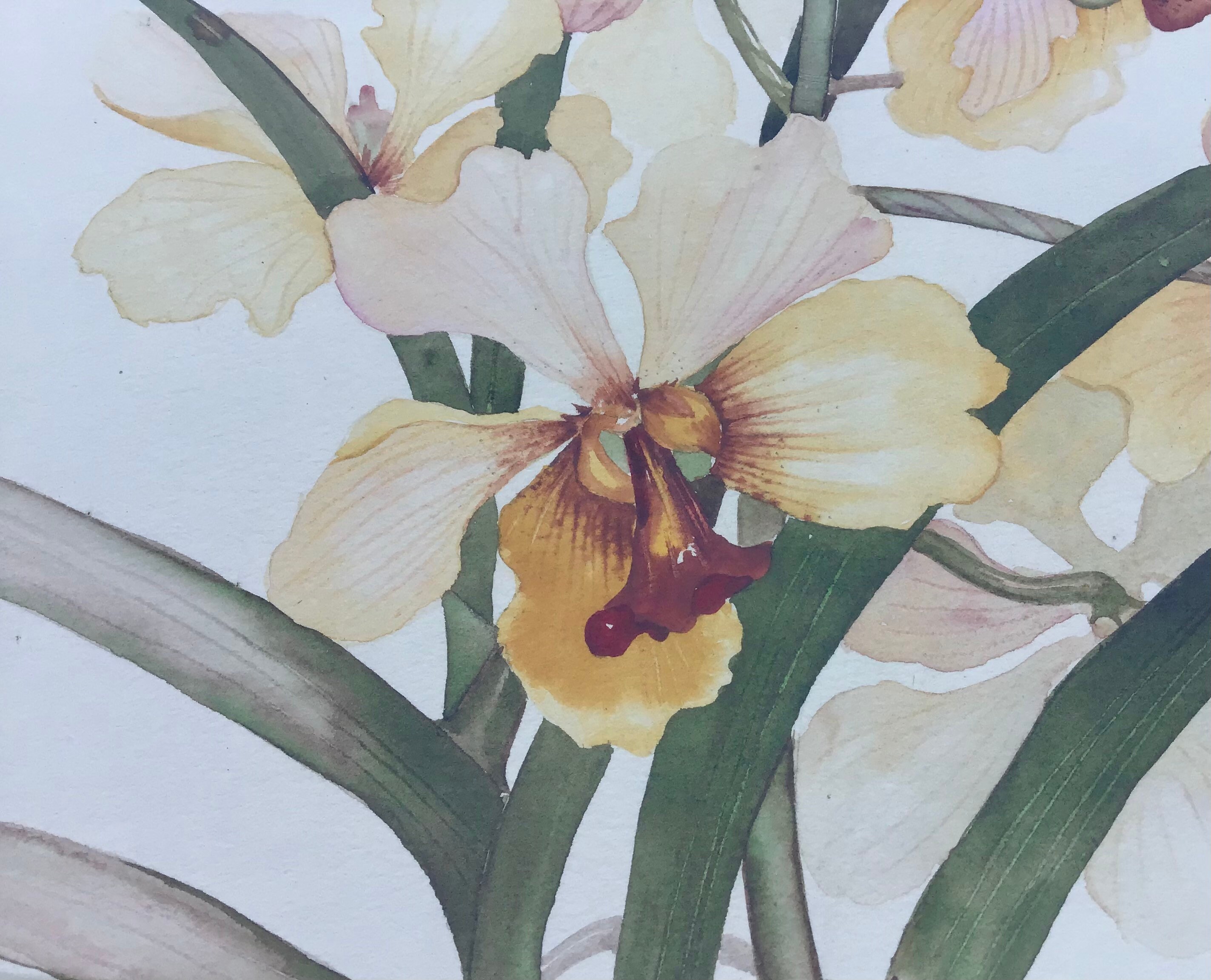 Vintage Original Valerie Pfeiffer Watercolour Orchids Signed 1983