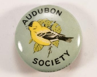 1940s or Earlier RARE Audubon Society Yellow Goldfinch Bird Botanical Pinback Button Gravure Co