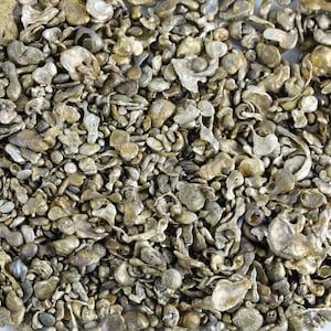 Sterling Silver Cornflake and Shot Casting Grain Granules for Jewelry Making