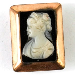 May include: A rectangular gold-toned brooch featuring a cameo of a woman's profile. The cameo is white, set against a black background, and framed by a gold border. The woman's hair is styled with a floral accent.