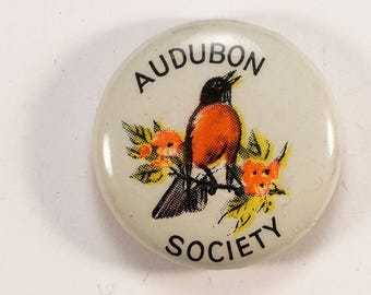 1940s or Earlier RARE Audubon Society Red Cardinal Bird Botanical Pinback Button Gravure Co